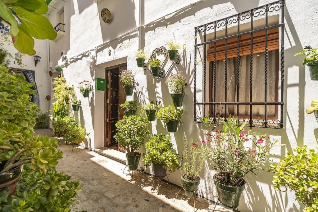 Casa Con Patio Y Terraza En Barrio Historico De La Villa, Junto Al Adarve Priego de Córdoba Exterior foto